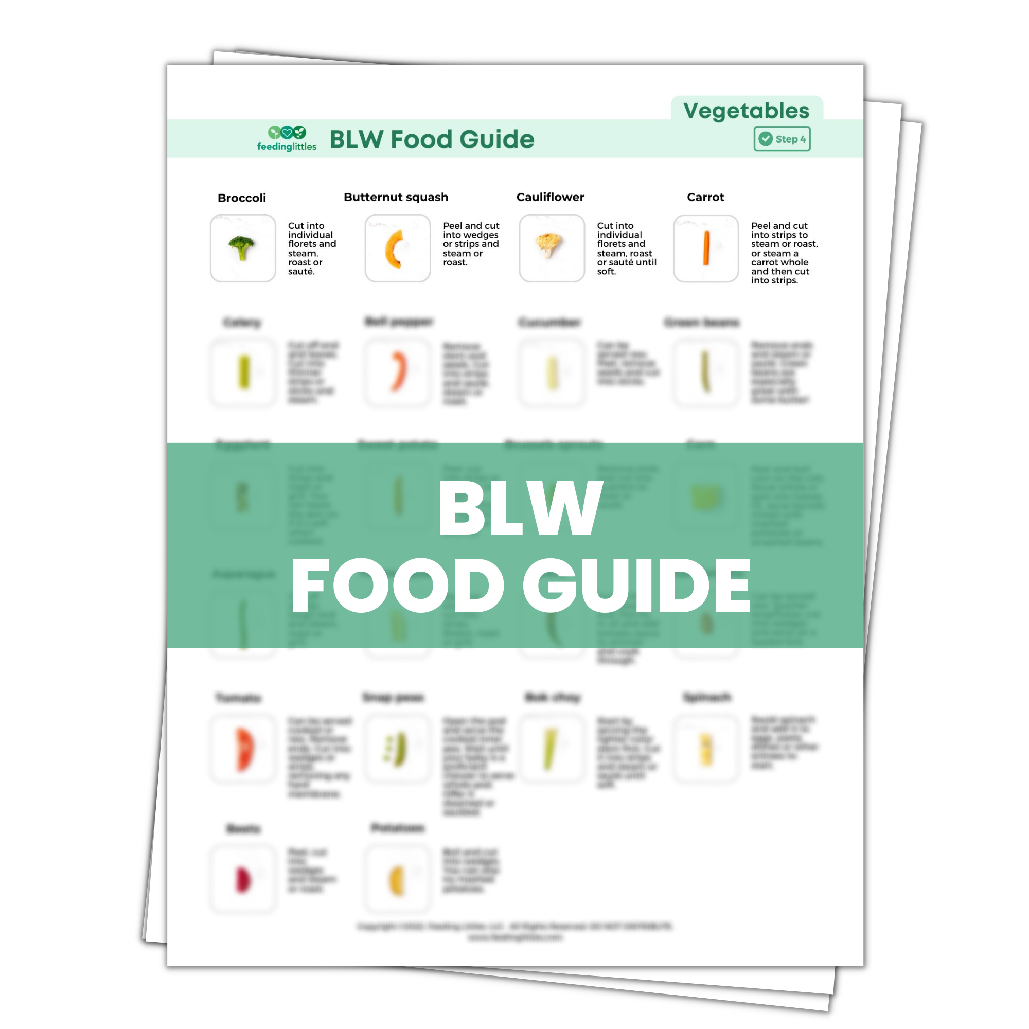 Baby-Led Weaning Basics Bundle